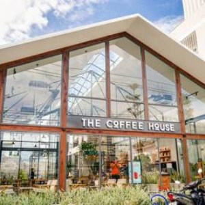 Dự án bảo dưỡng chuỗi cửa hàng The Coffee House - Cây Xanh HATA  - Công Ty TNHH Kiến Trúc Cảnh Quan Hata